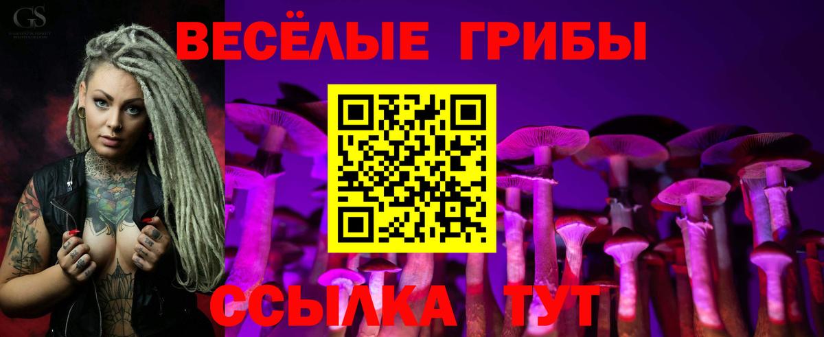 Энгельс  Псилоцибиновые грибы Cubensis  Вход с VPN  Галлюциногенные грибы Cubensis 